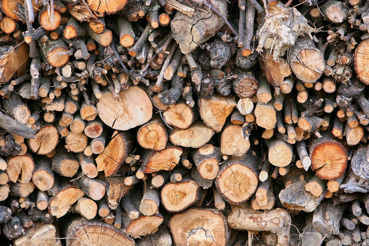 wood timber industry firewood free photo