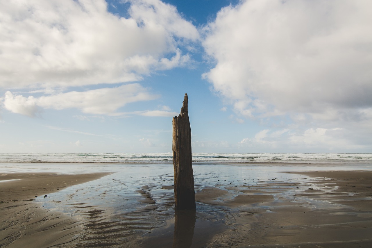 wood post beach free photo