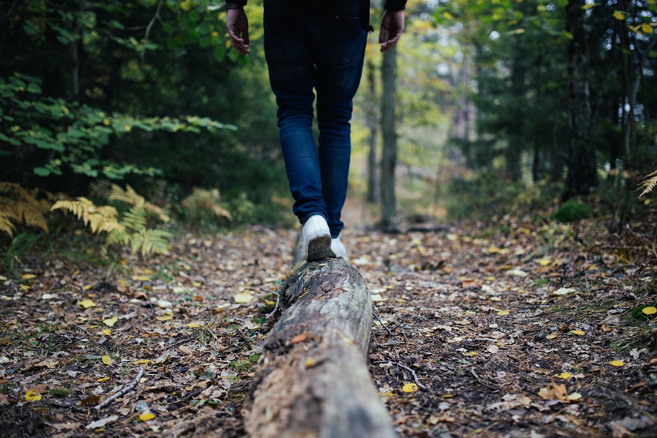 wood log walking free photo