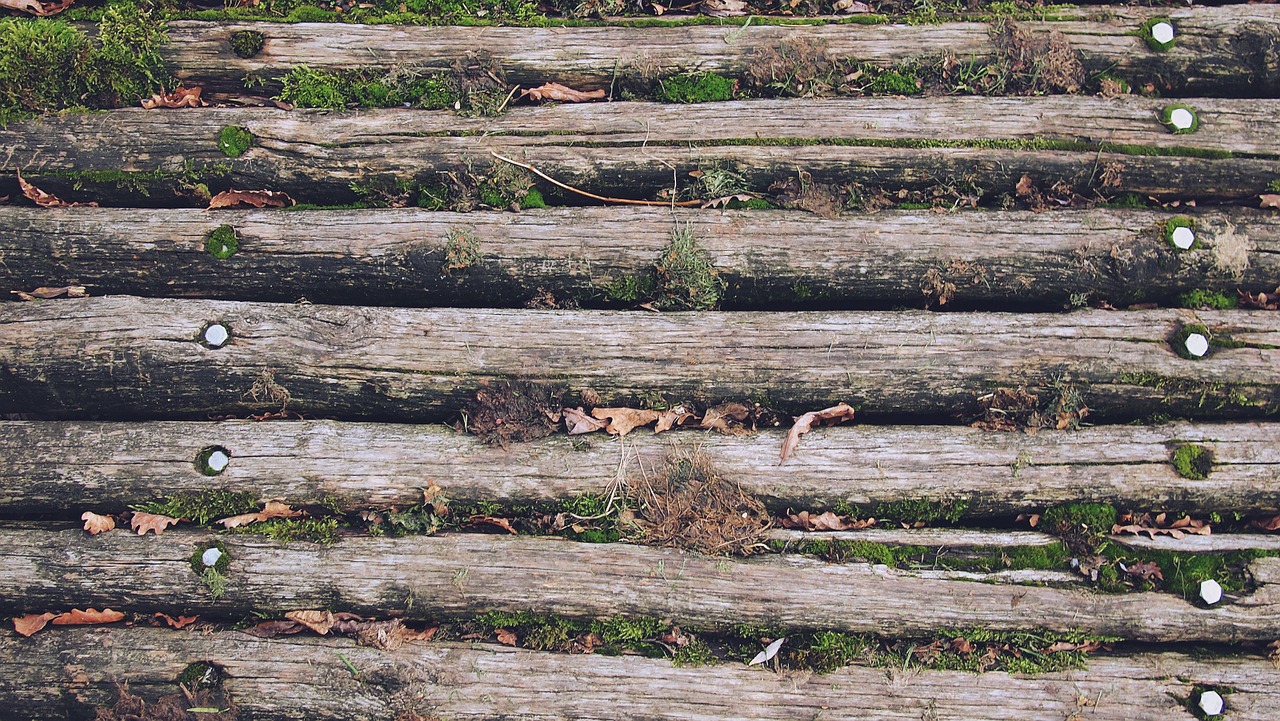 wood texture floor free photo