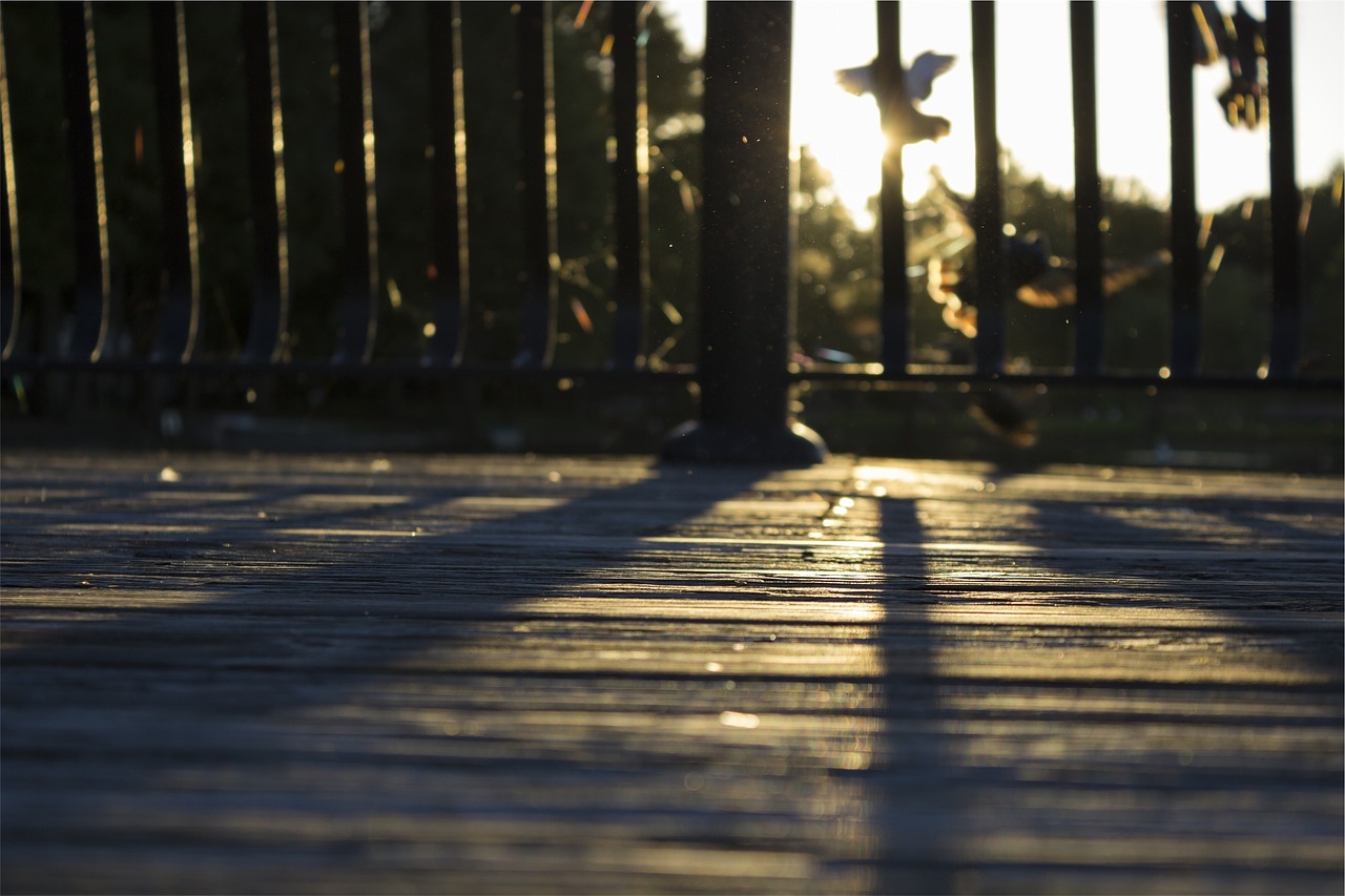 wood deck railing free photo