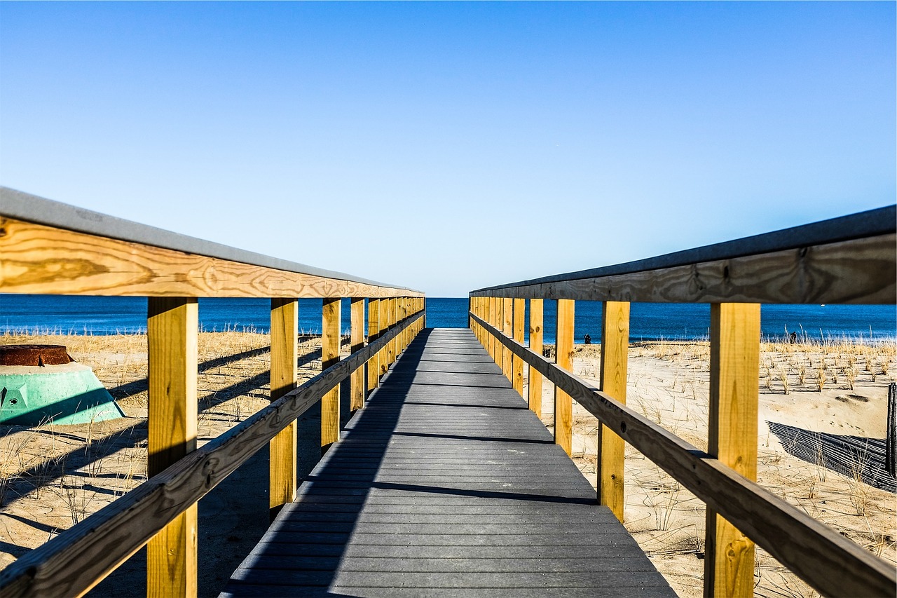 wood bridge path free photo