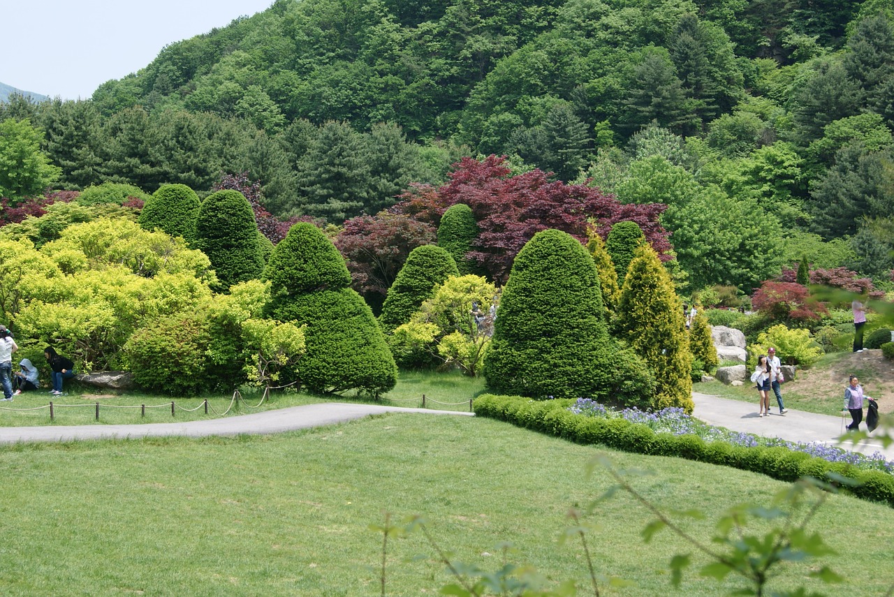 wood a flower garden plantation free photo