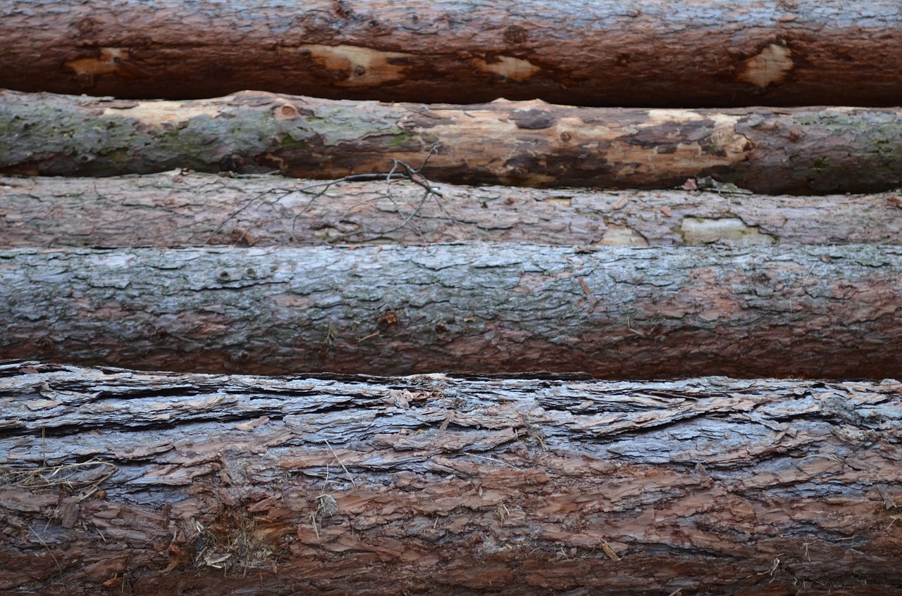 wood nature texture free photo