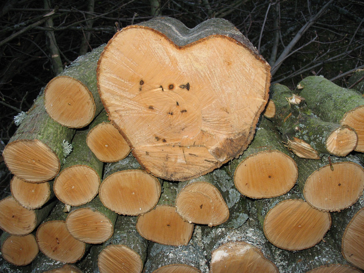 wood log holzstapel free photo
