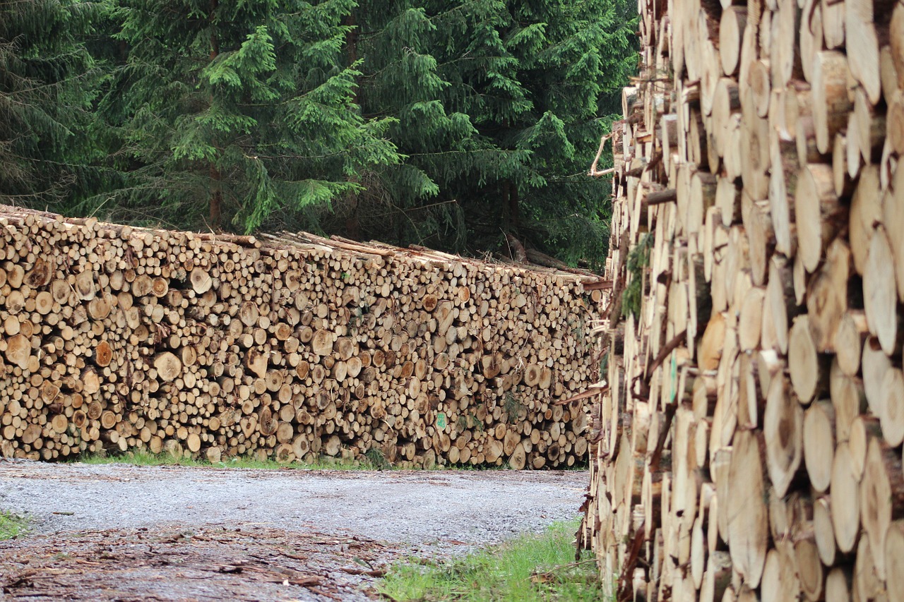 wood holzschlag timber industry free photo