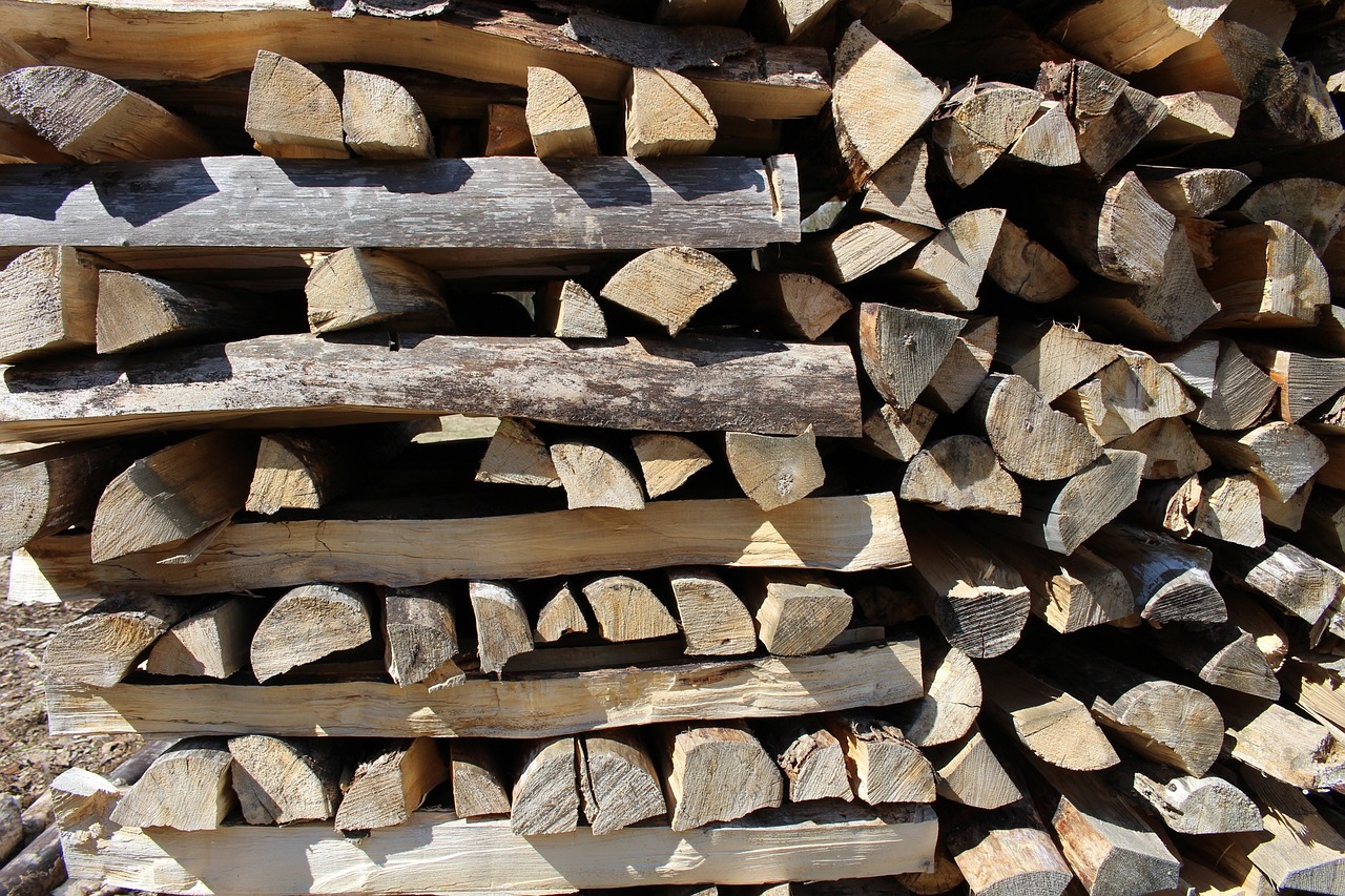 wood stack forest work free photo