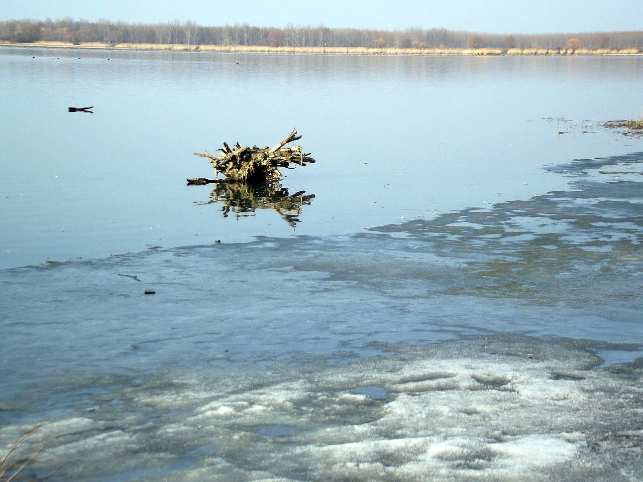 wood water lake abadszalok free photo