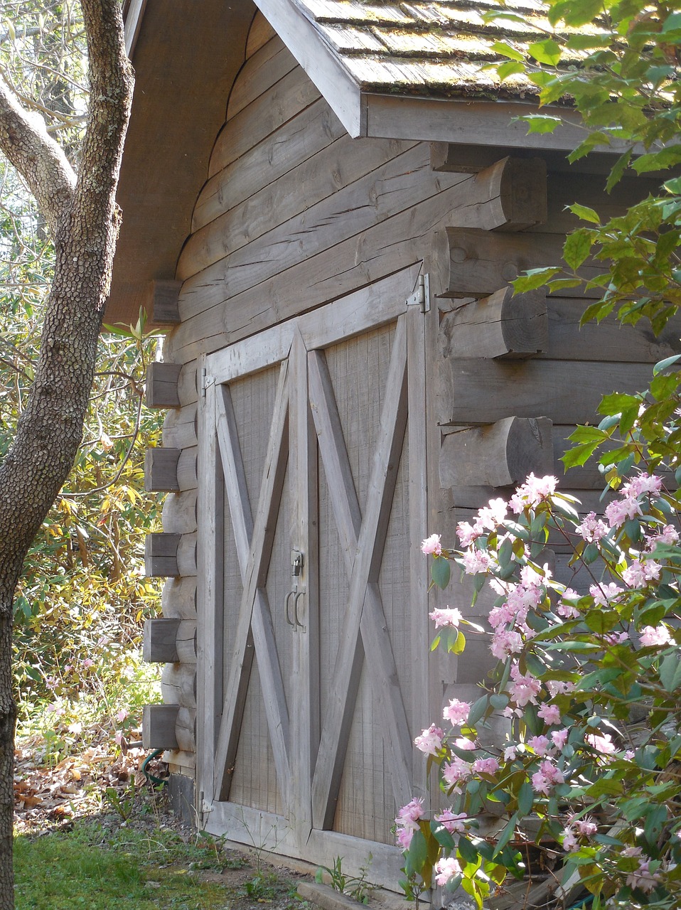 wood shed wooden free photo