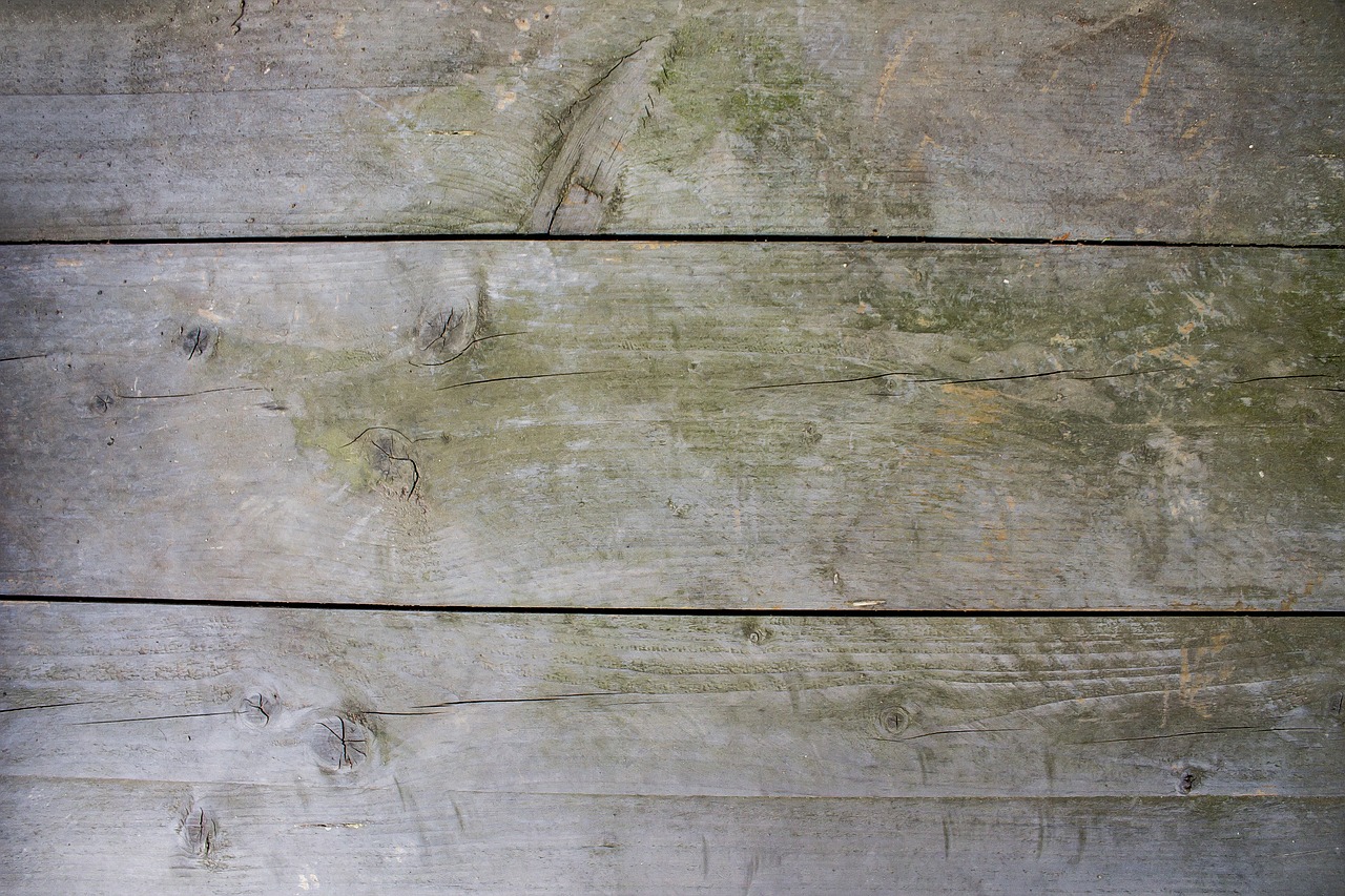 wood background structure free photo