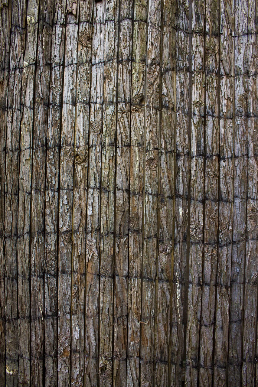 wood structure texture free photo