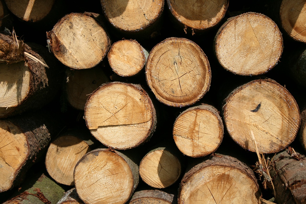 wood strains log free photo