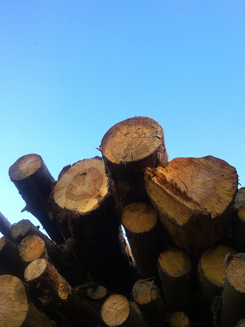 wood holzstapel firewood free photo