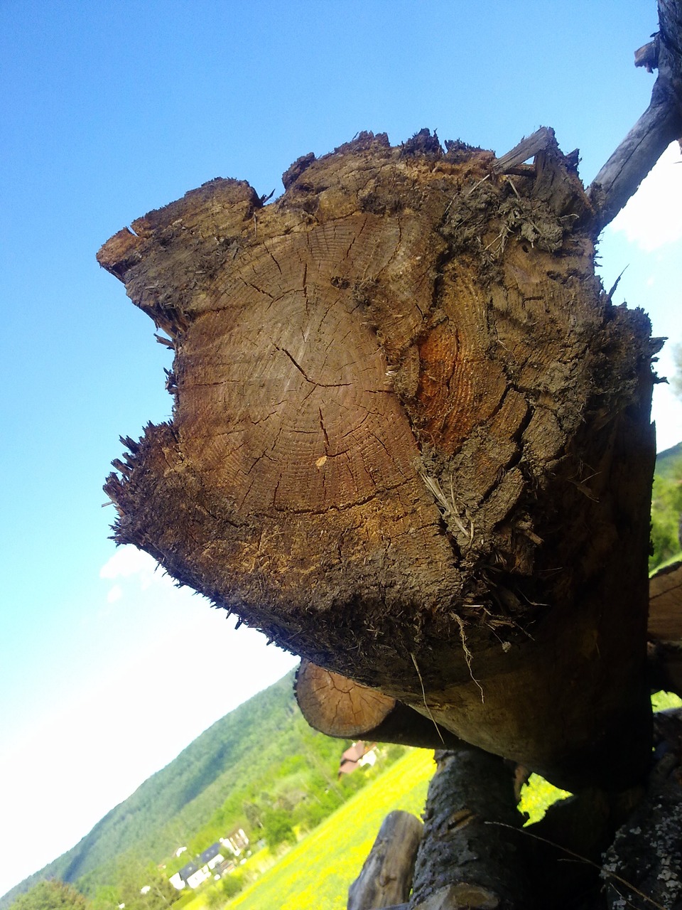 wood stack firewood free photo