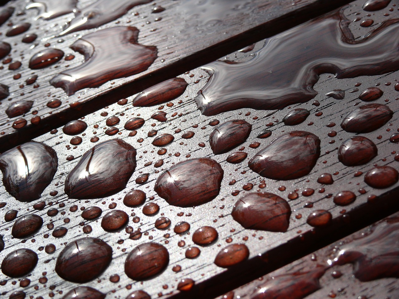 wood water drops free photo