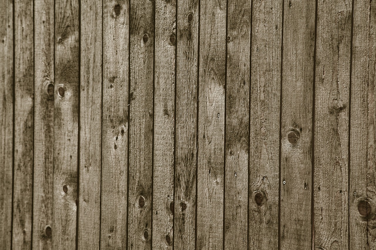 wood texture grain free photo