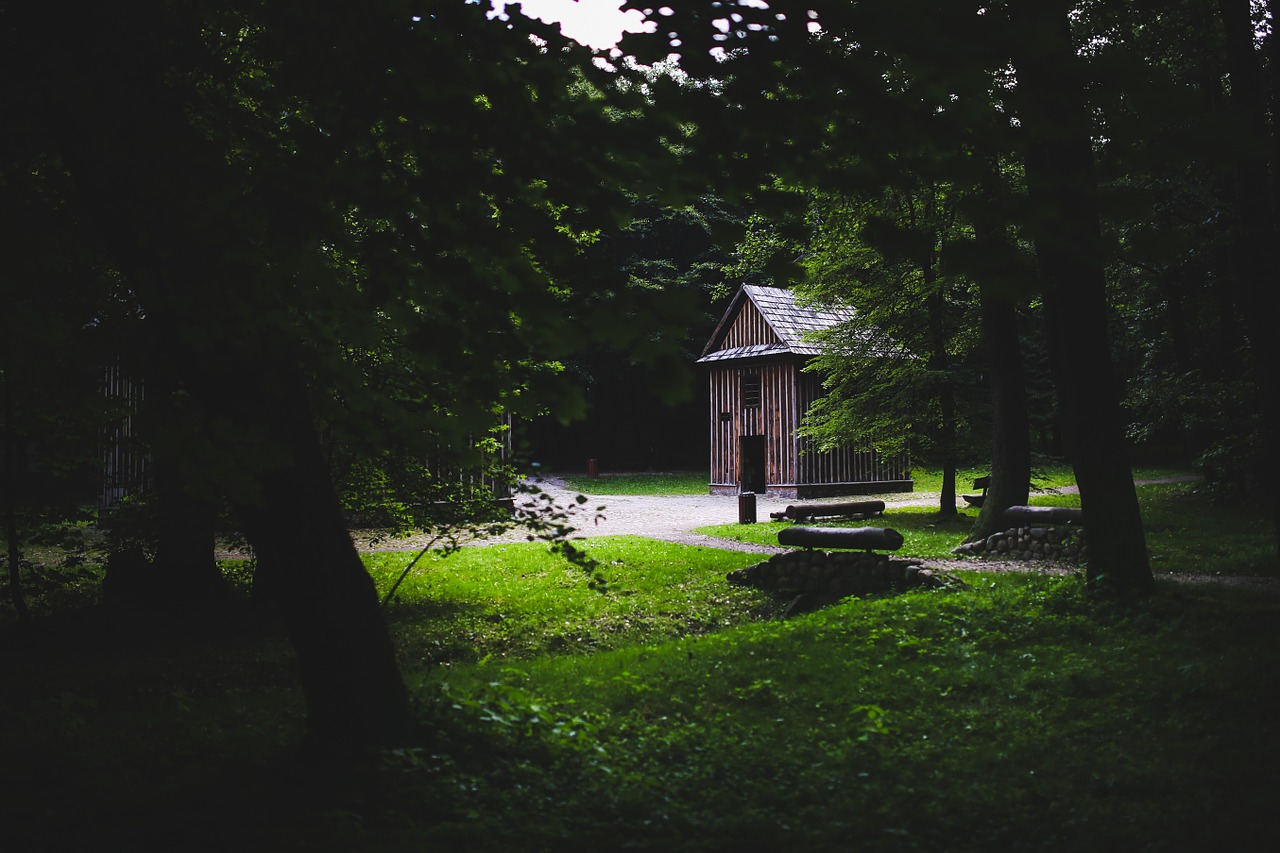 wood wooden forest free photo