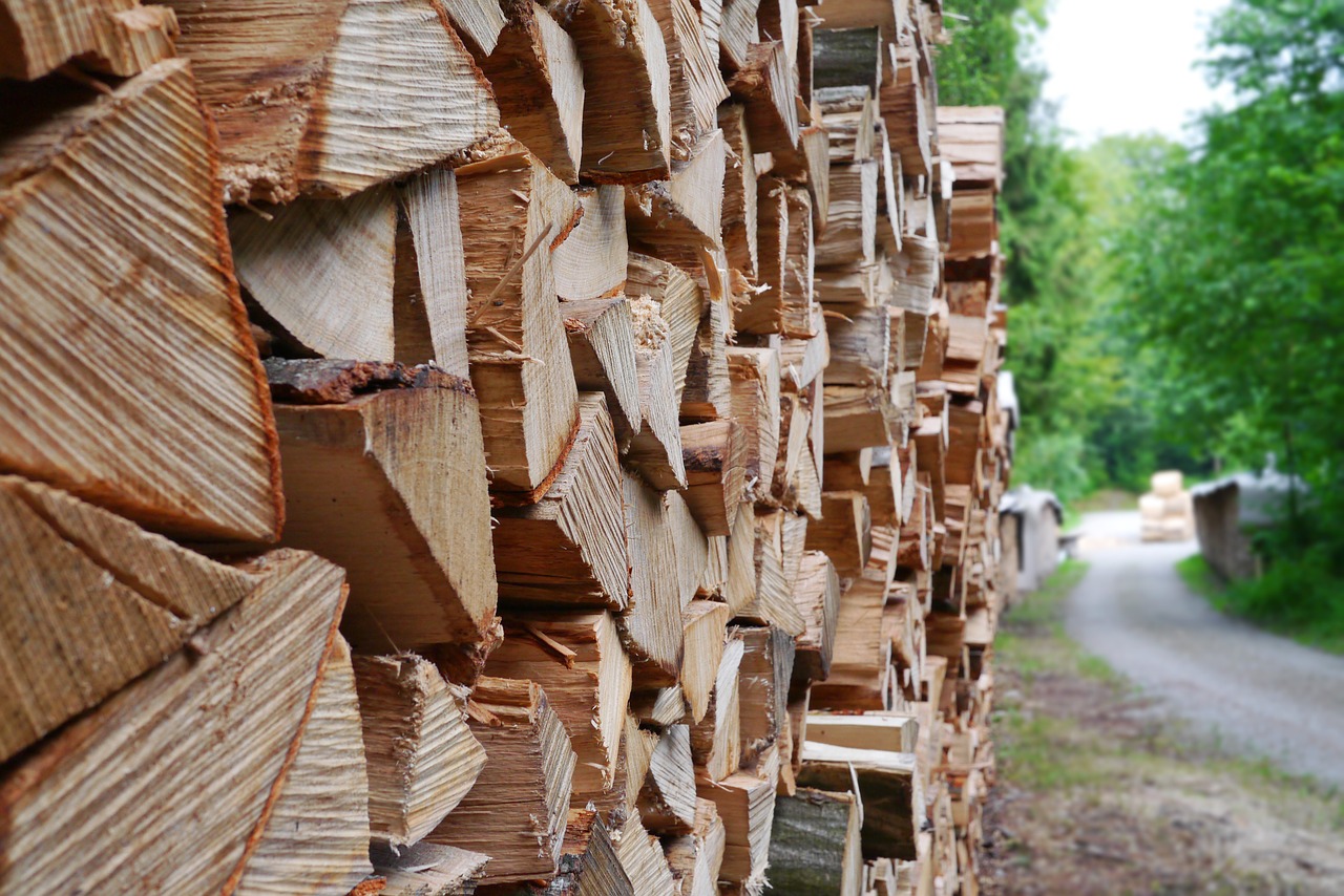wood timber holzstapel free photo