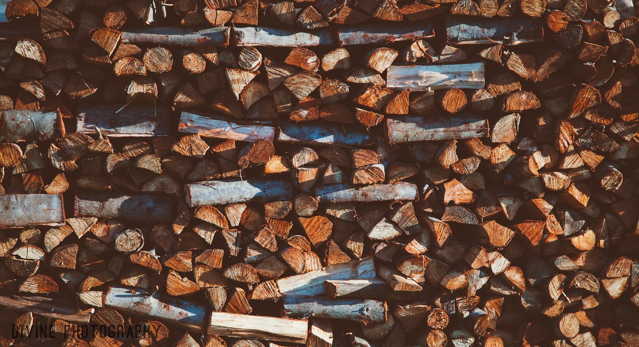 wood logs timber free photo