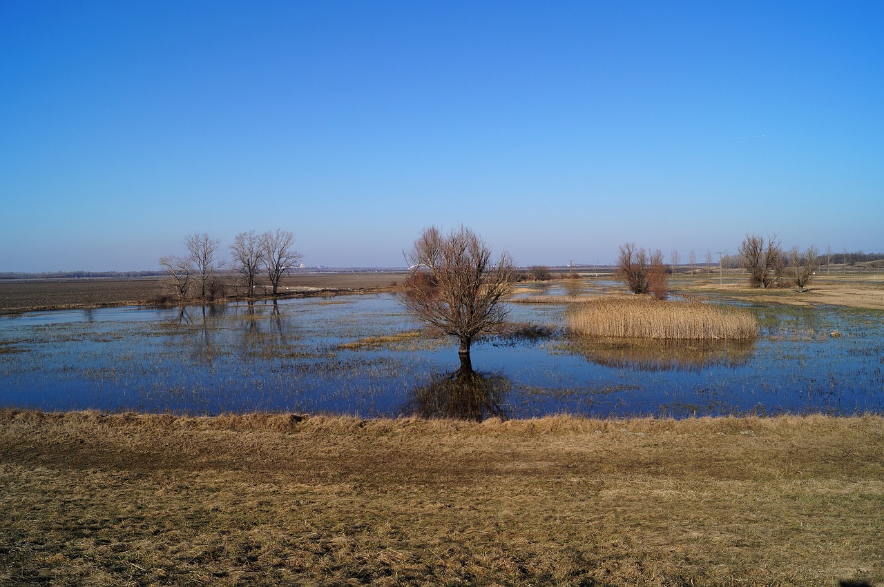 wood water landscape free photo