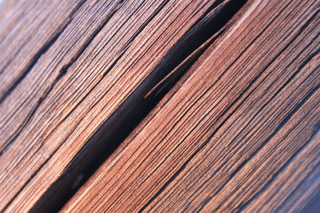 wood wooden pole free photo