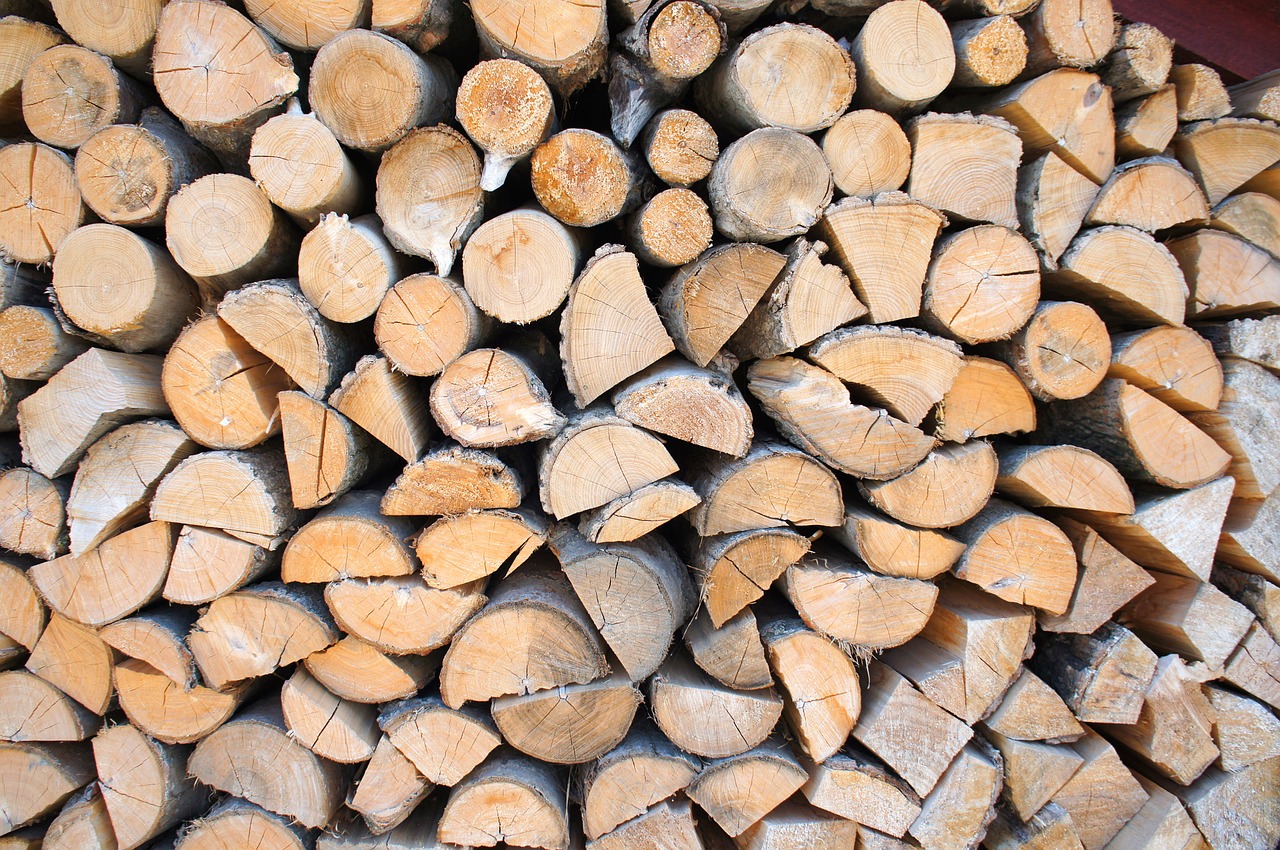 wood structure background free photo