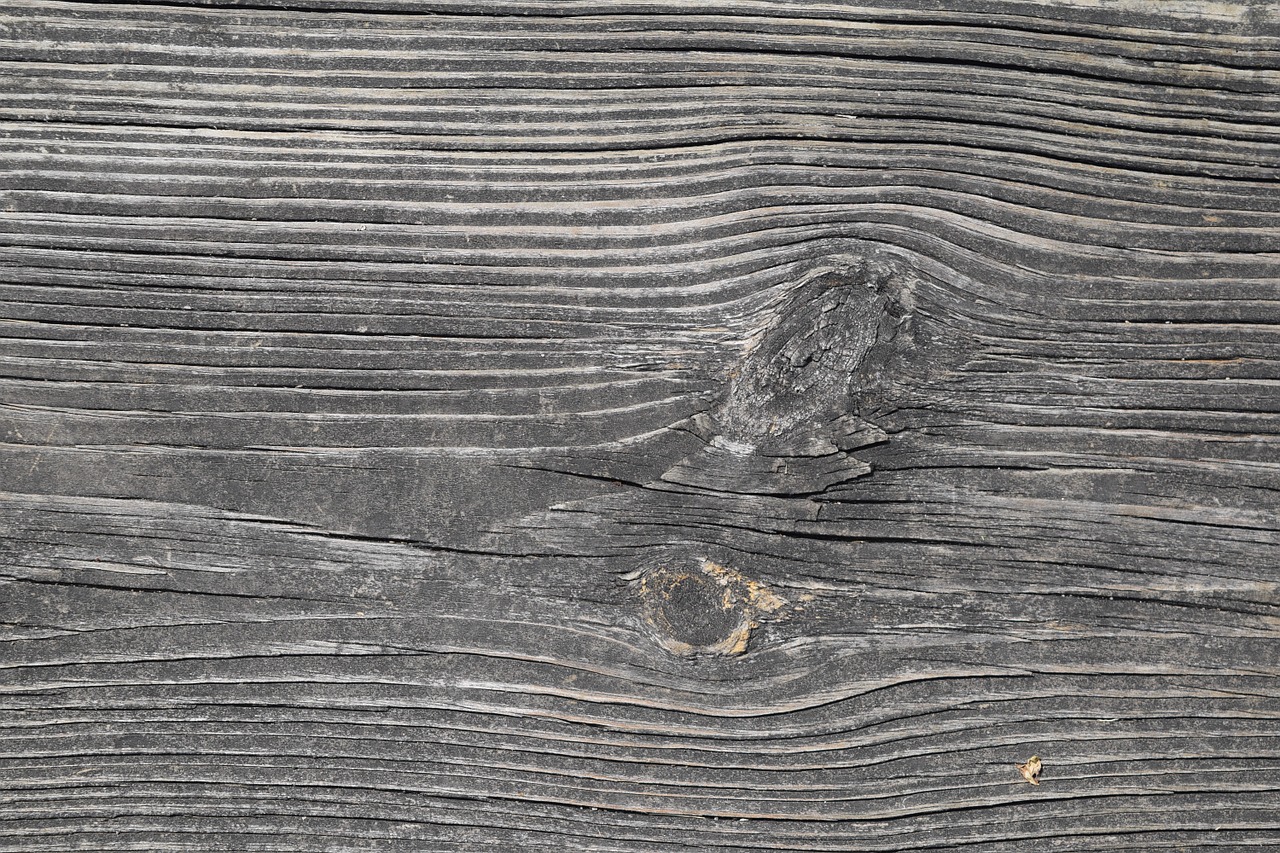 wood texture wooden free photo