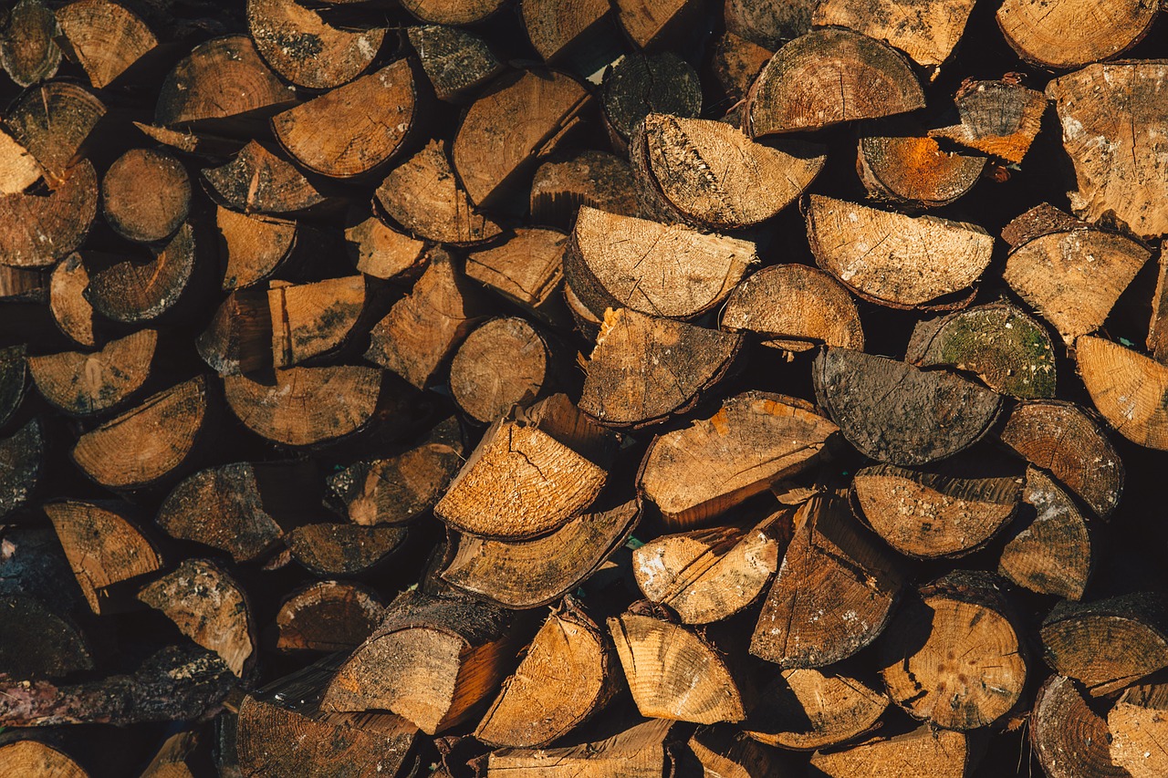 wood logs lumber free photo