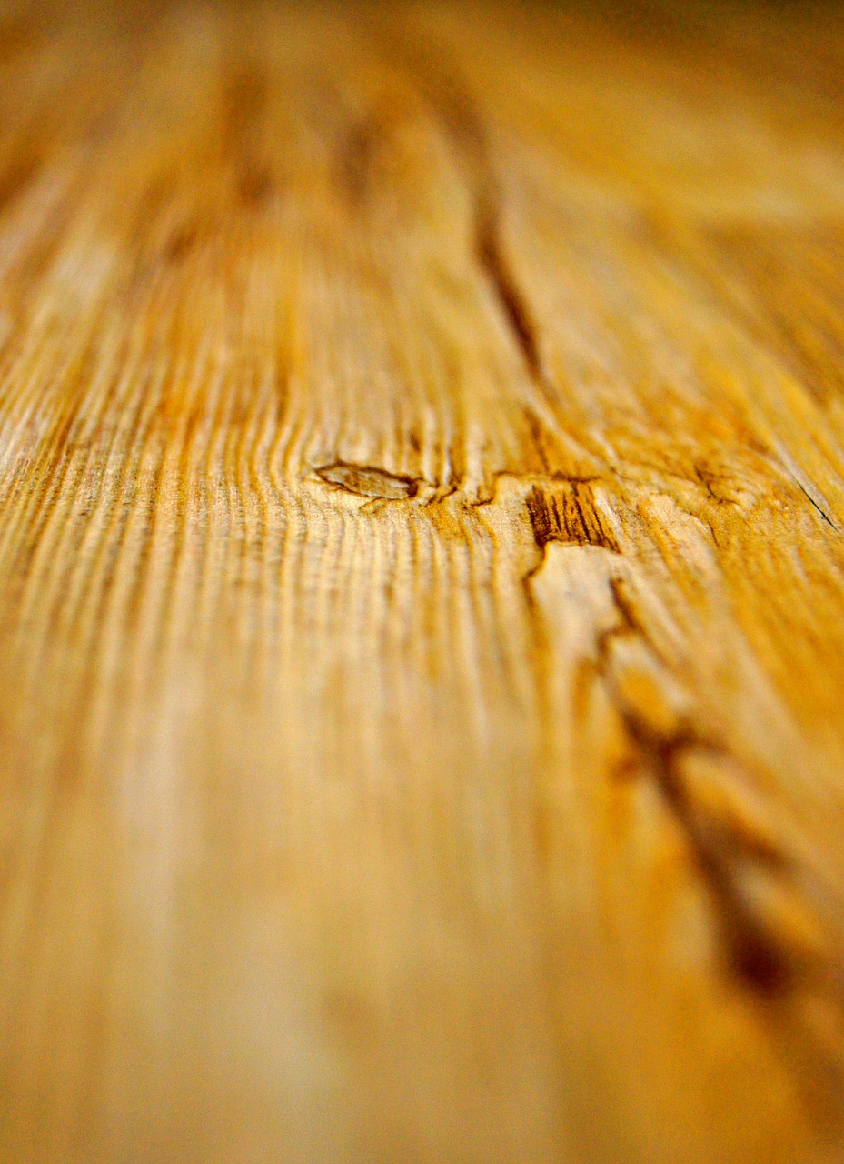 wood ground plank free photo