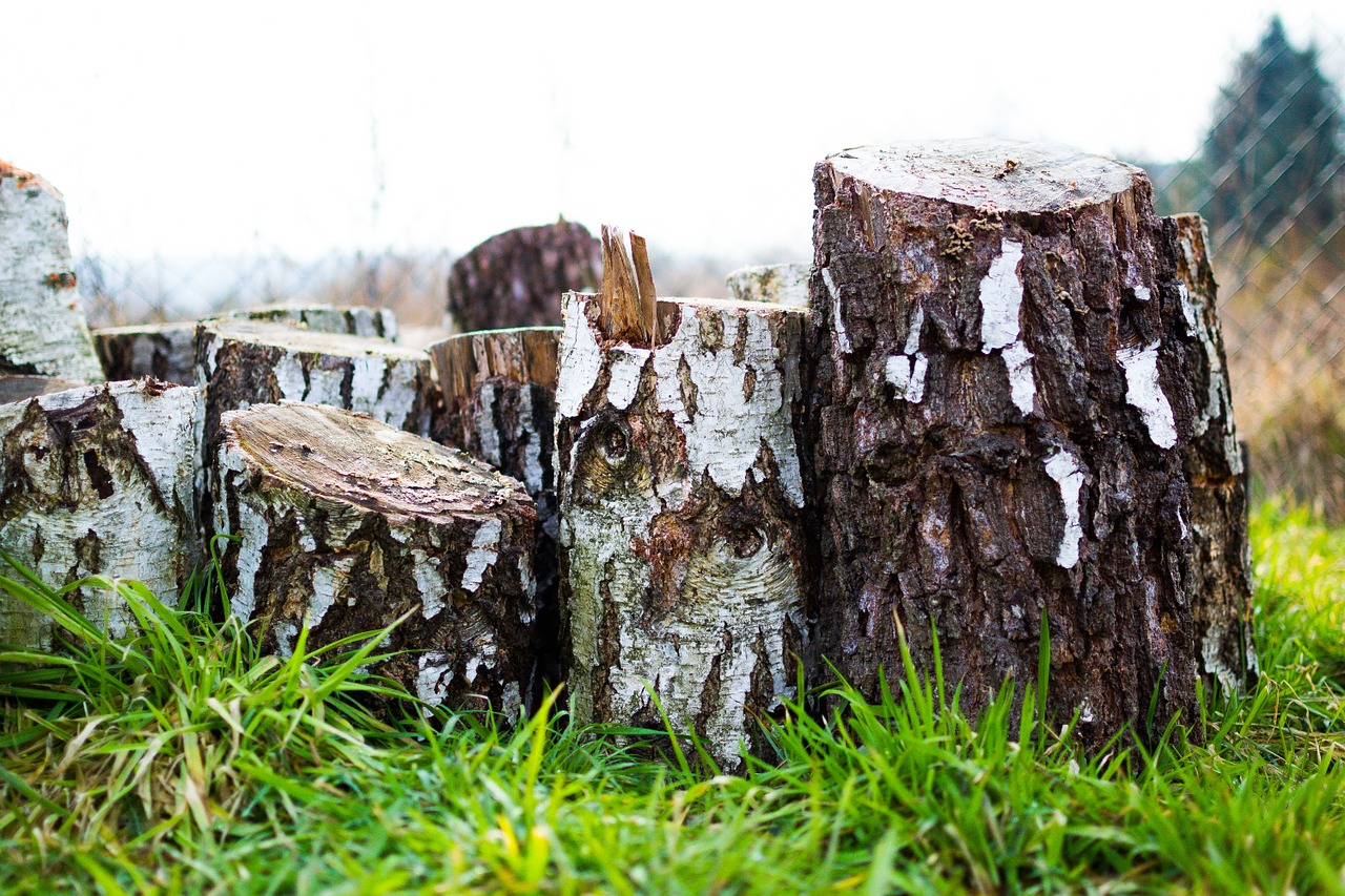 wood lumber timber free photo