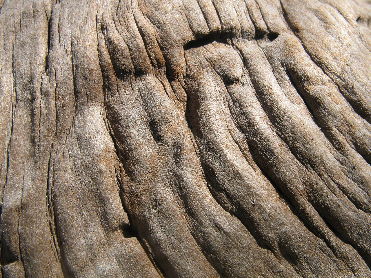 wood design texture free photo