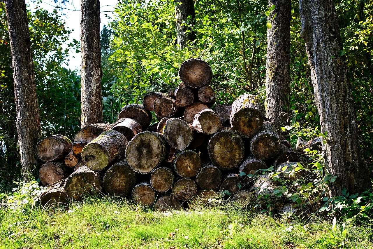 wood firewood holzstapel free photo