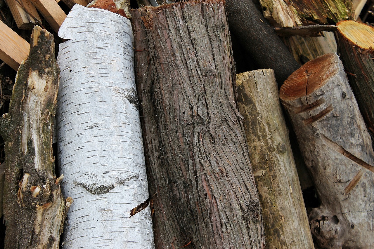 wood tribe bark free photo