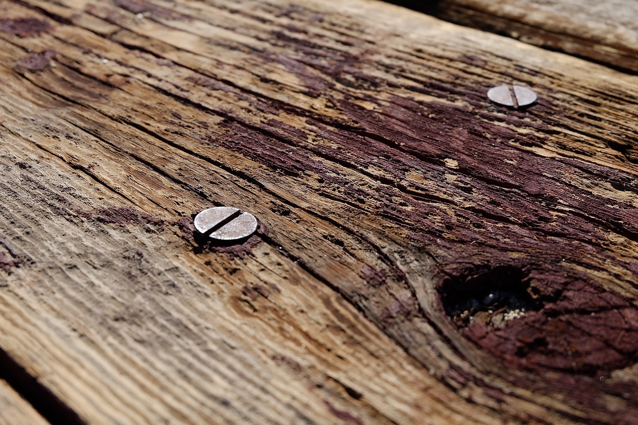 wood screws picnic table free photo