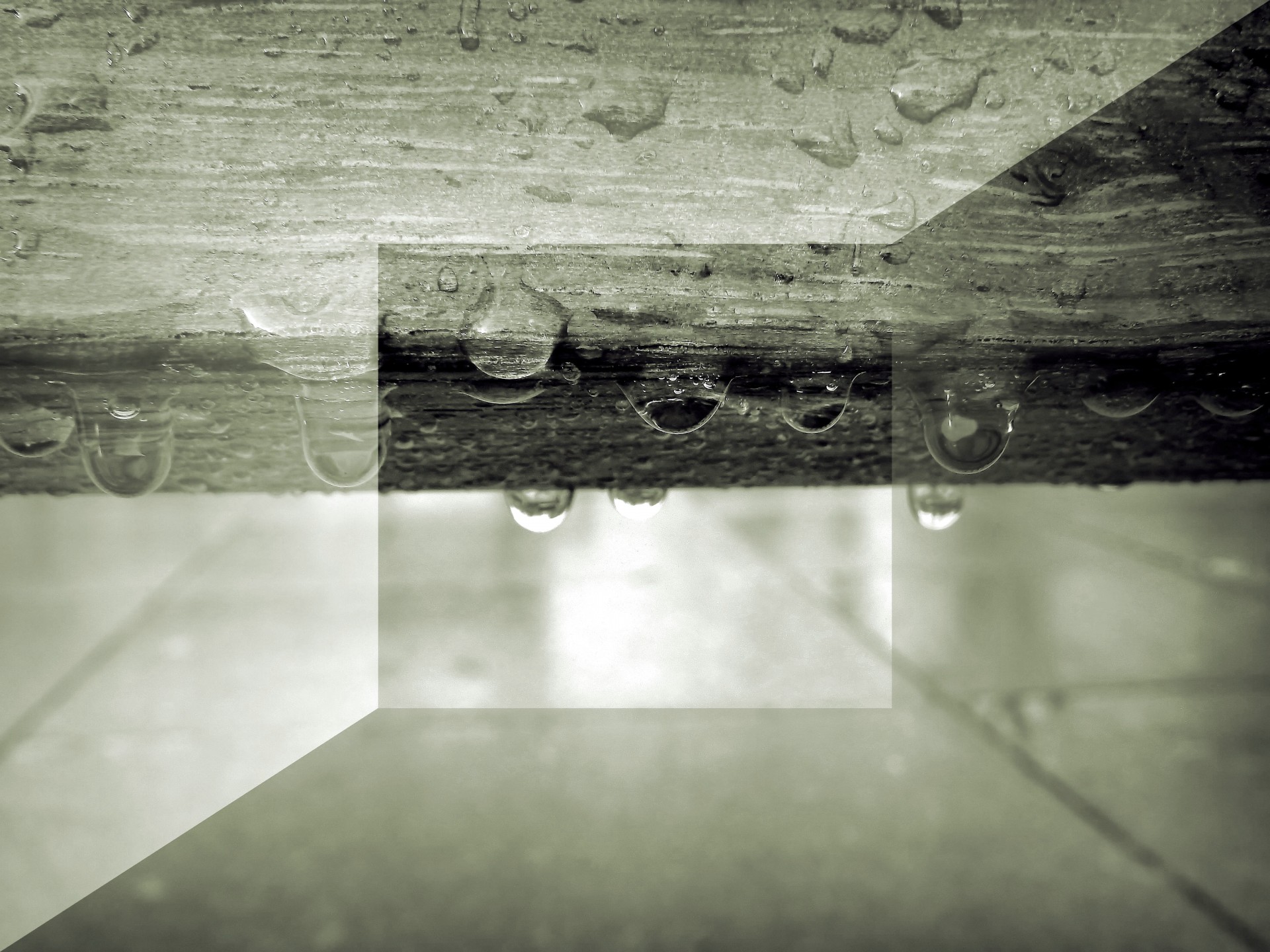 wet wood raindrops free photo