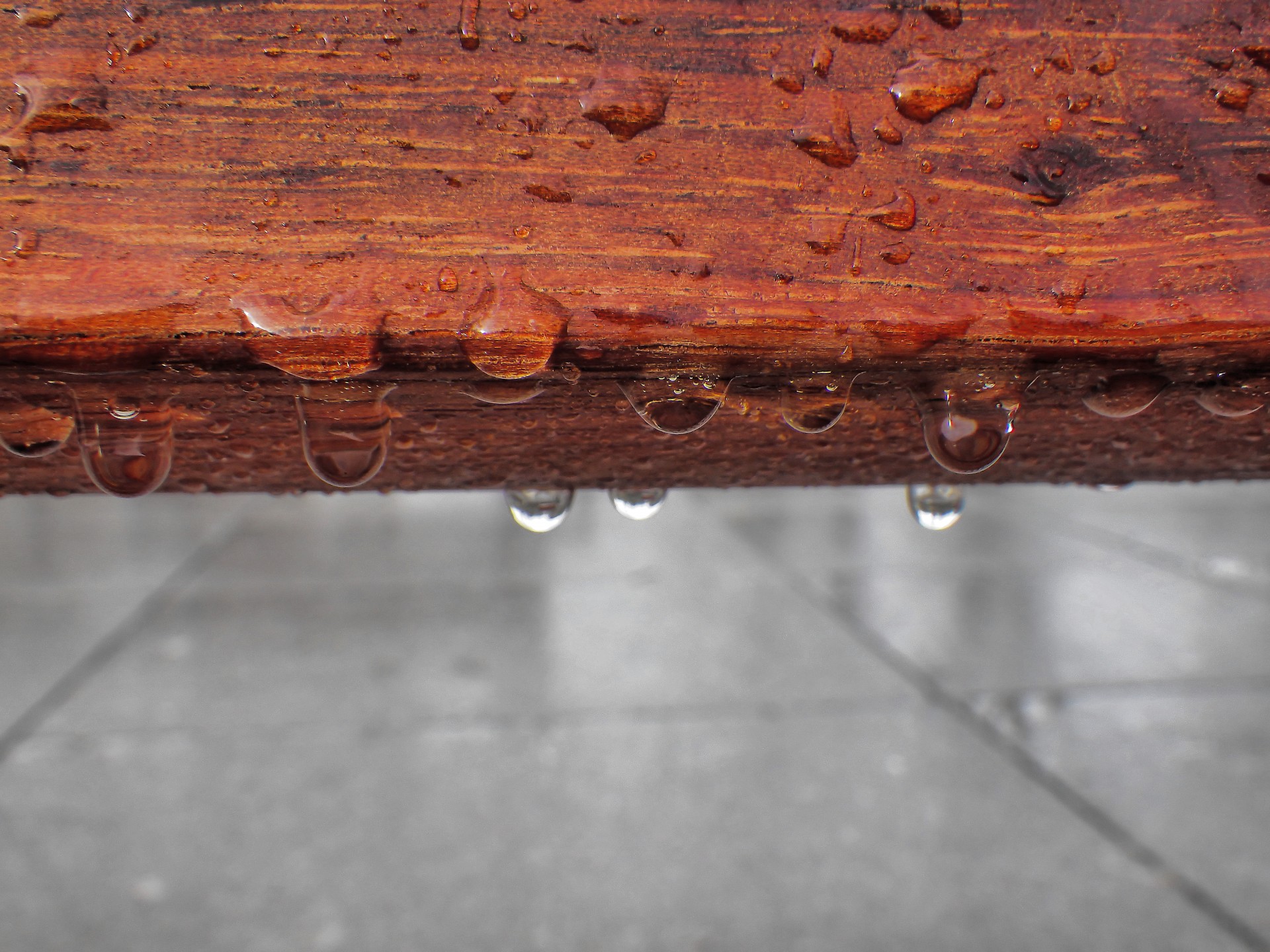 wet wood raindrops free photo