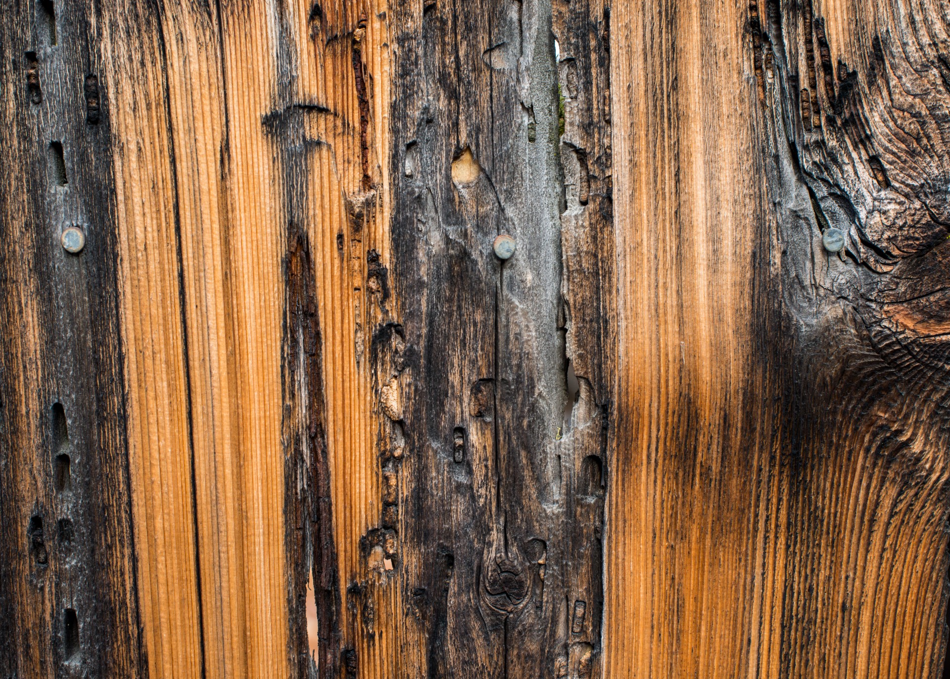 wood background plank free photo