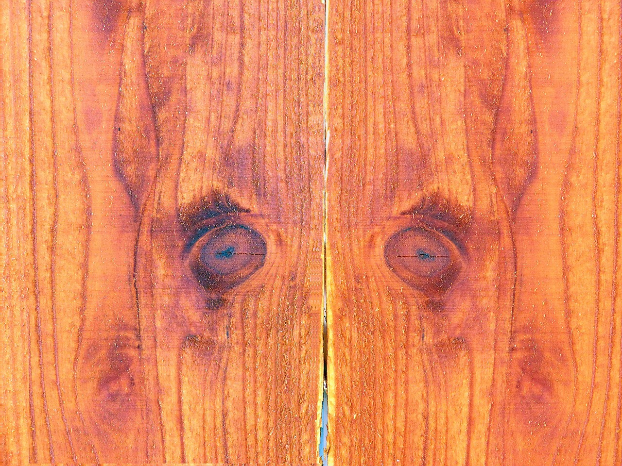 wood background wood background free photo
