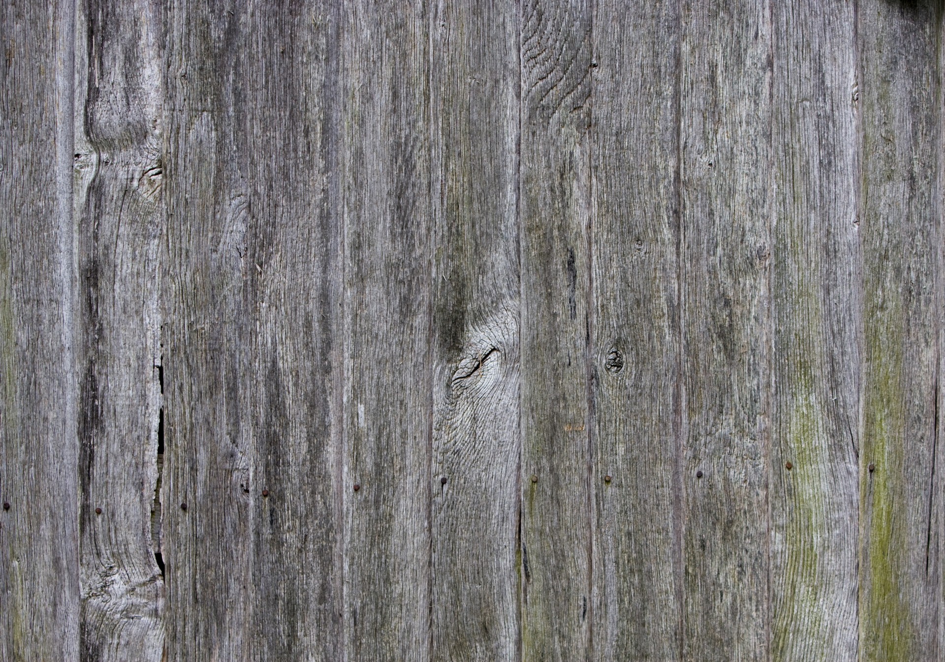 wood wooden background free photo