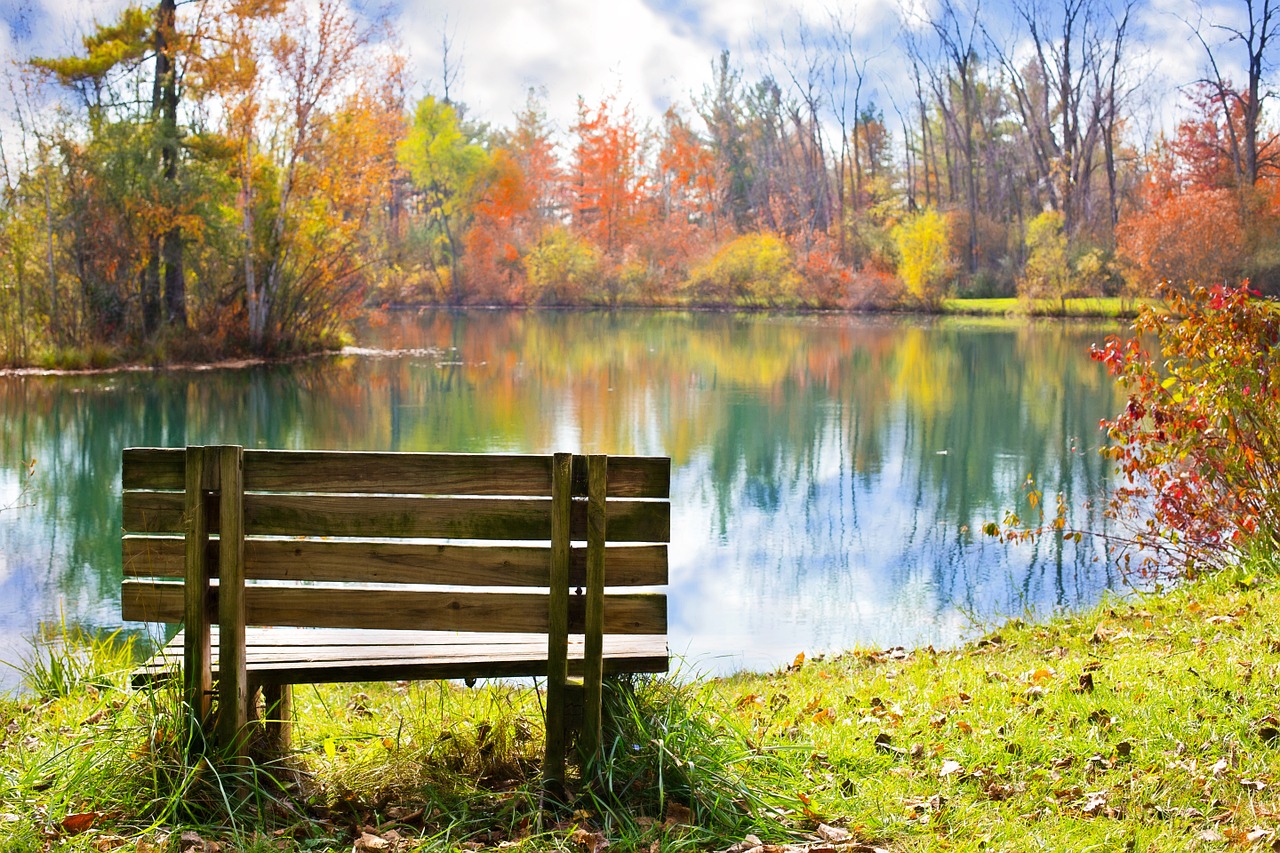 wood bench pond autumn free photo