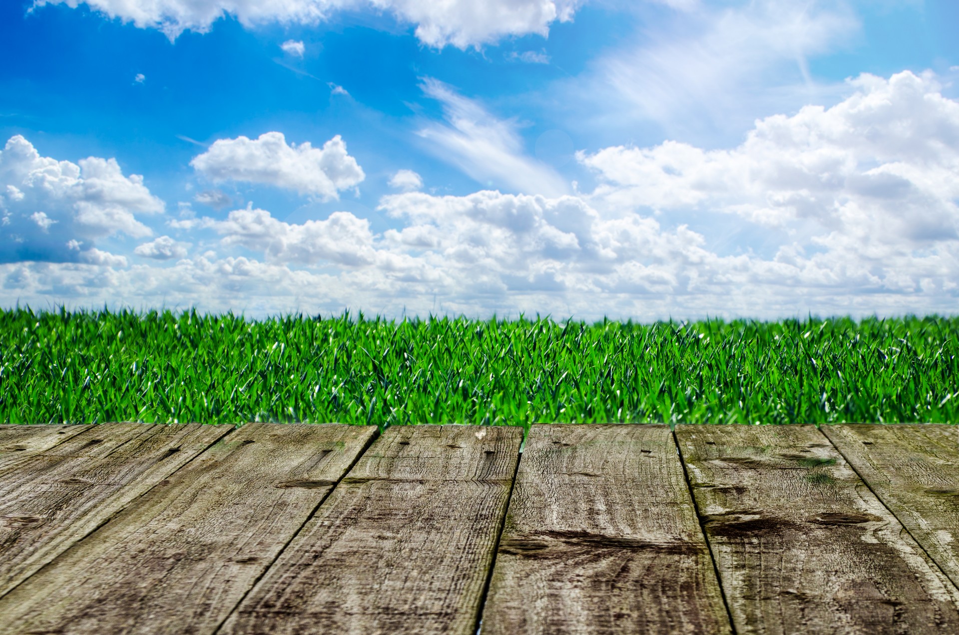 wooden background dock free photo