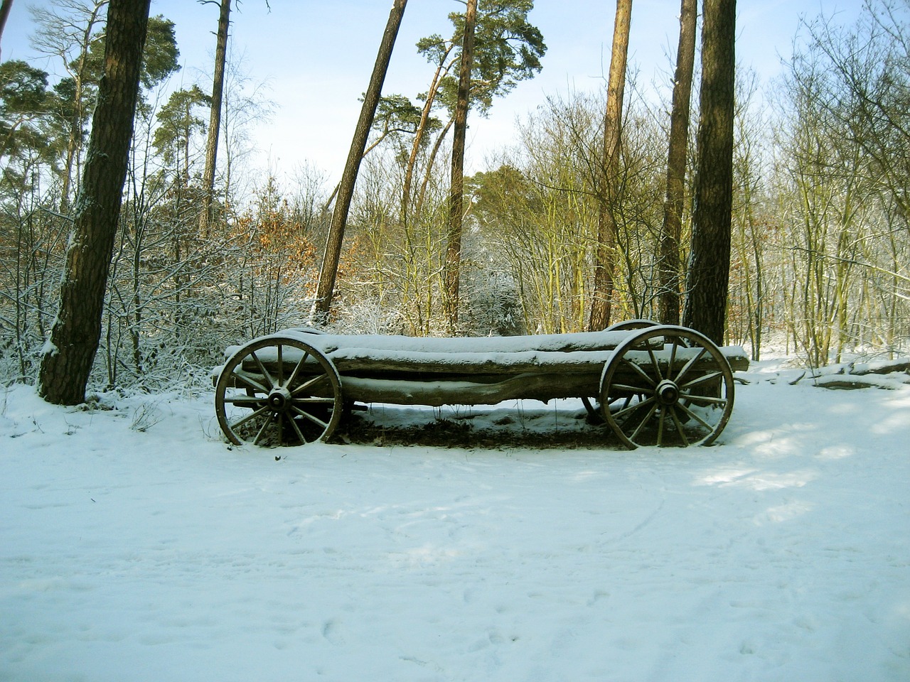 wood car snowy tree trunks free photo
