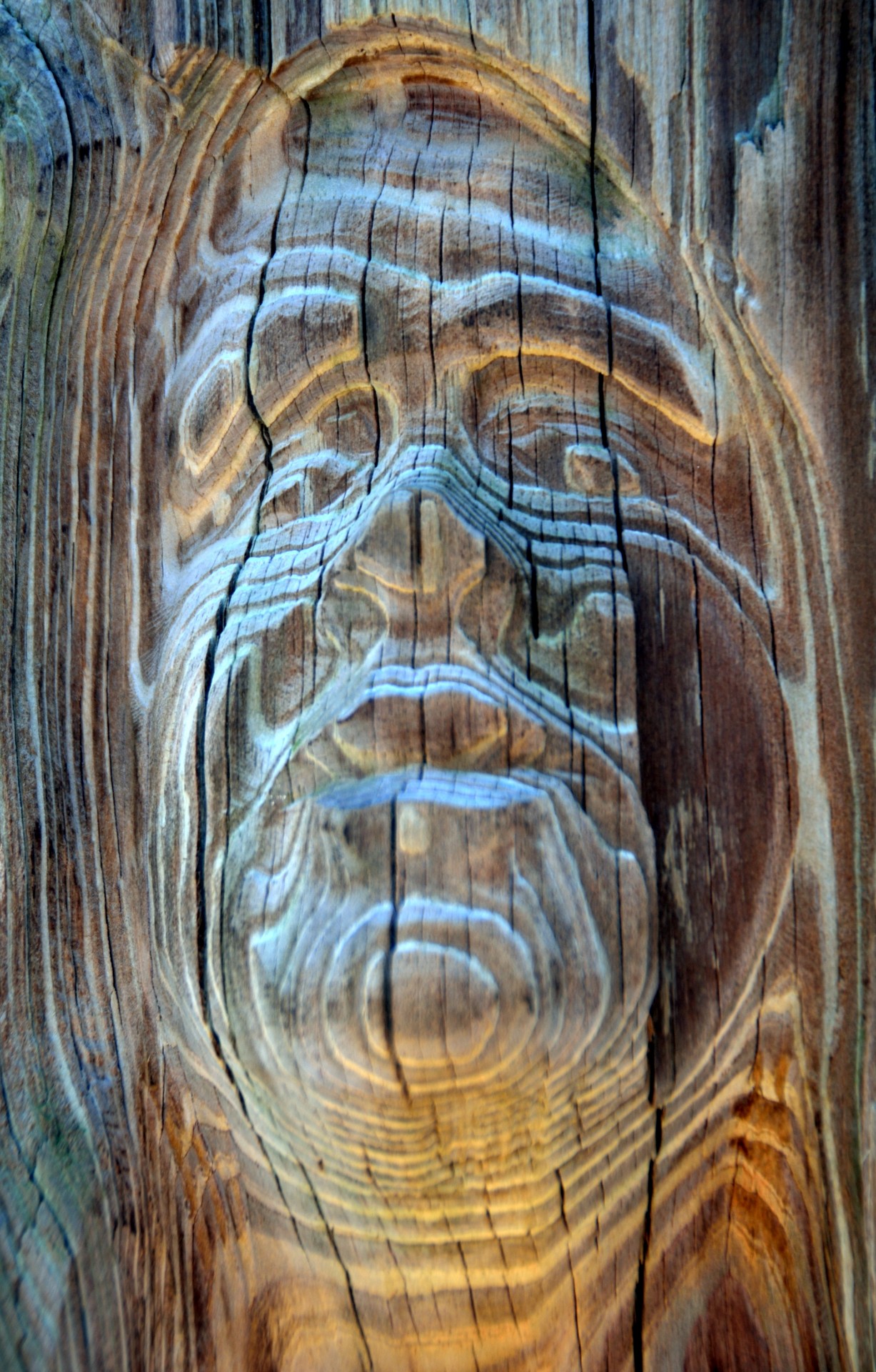 wood carving artistic art free photo