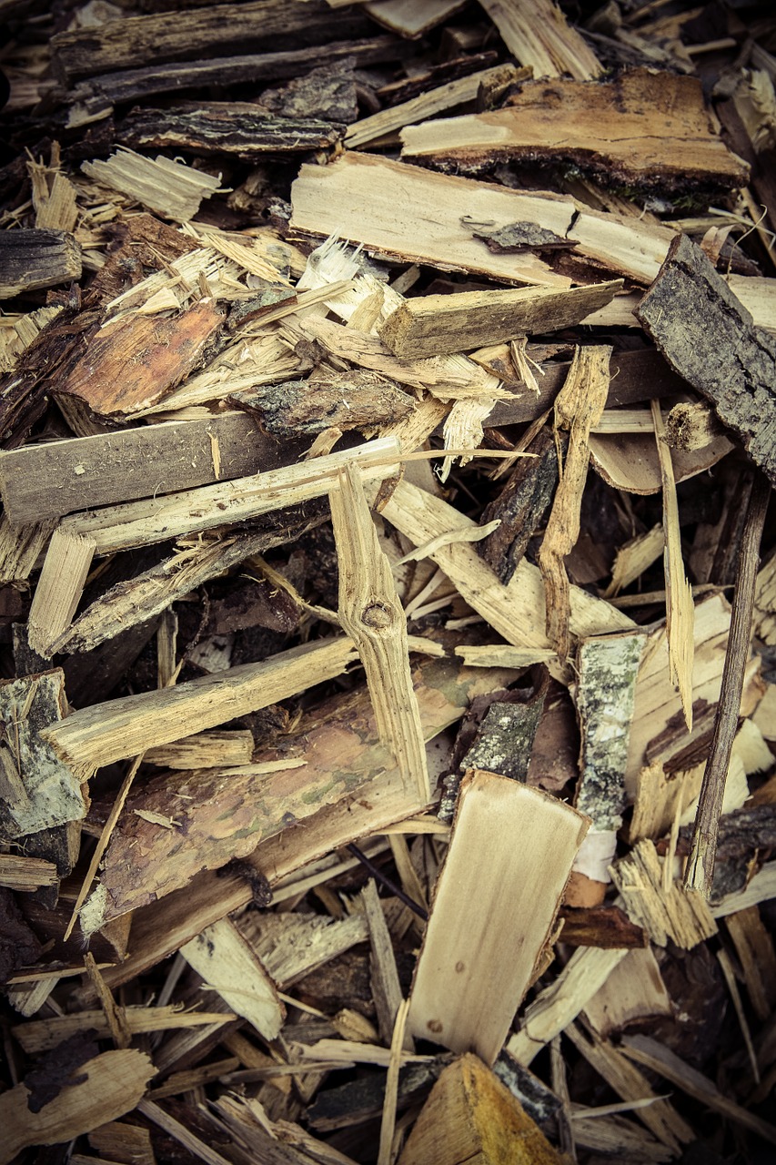 wood chips firewood wood free photo