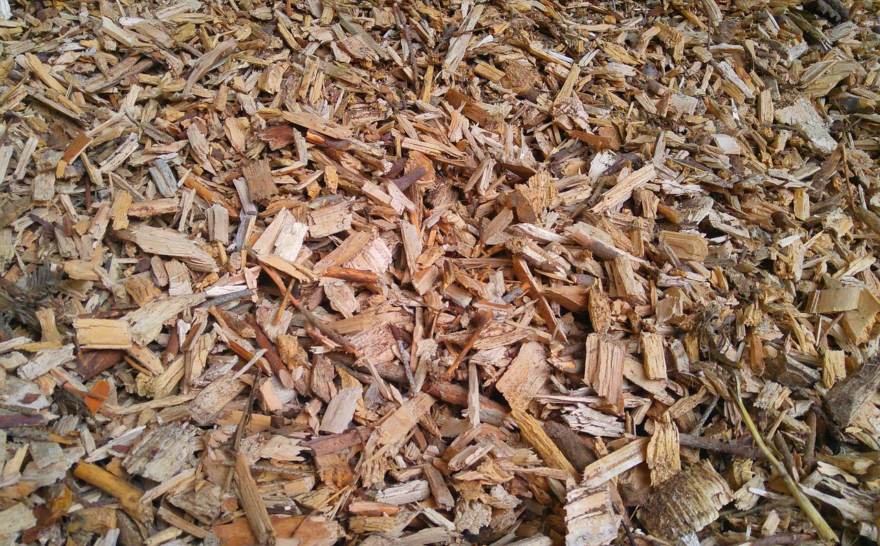 wood chips heat wood free photo
