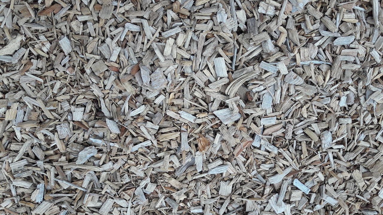 wood chips chips wood free photo