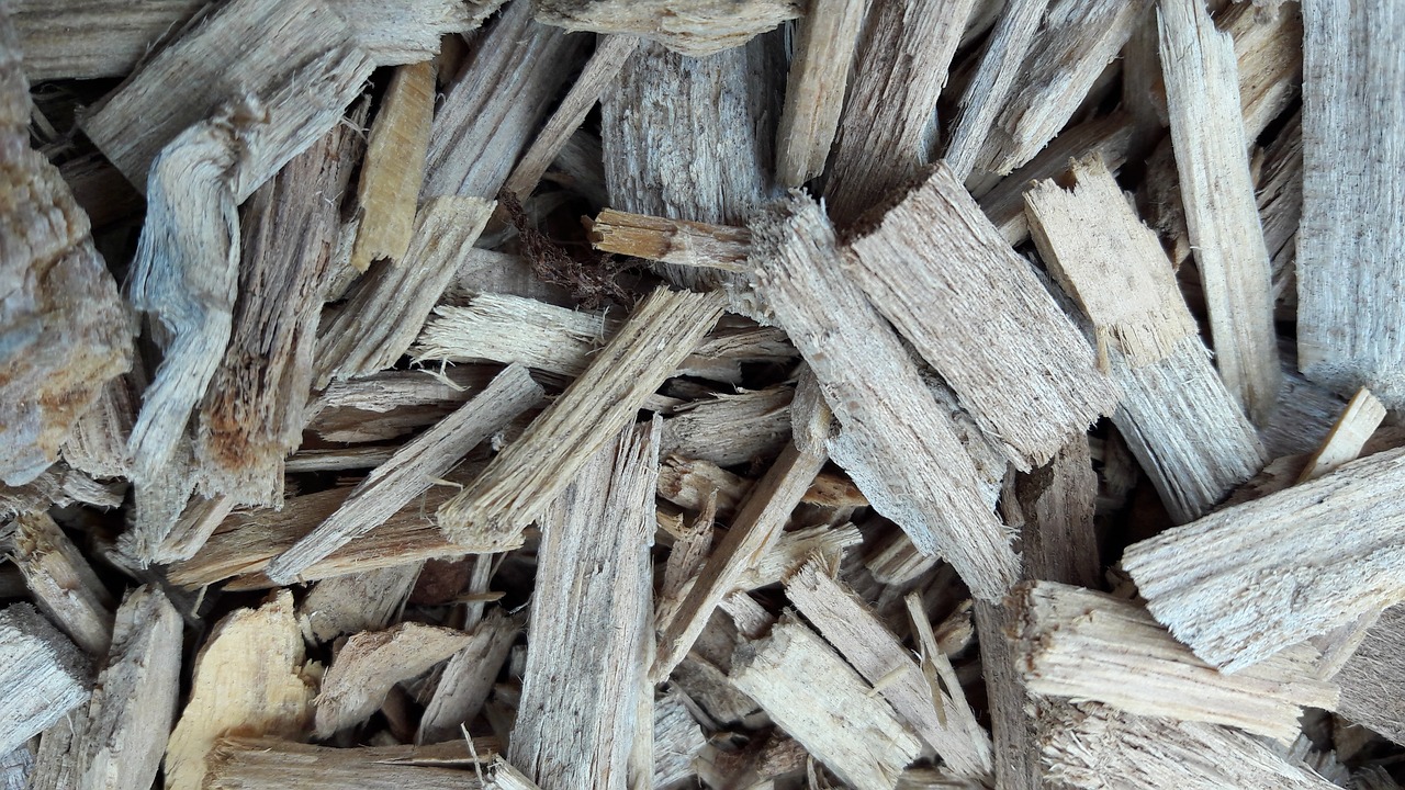 wood chips chips wood free photo