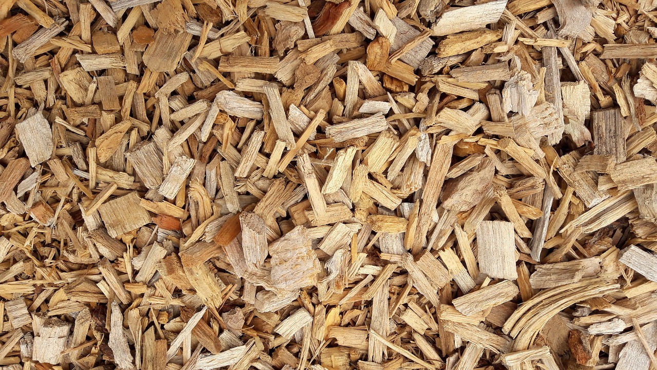 wood chips chips wood free photo