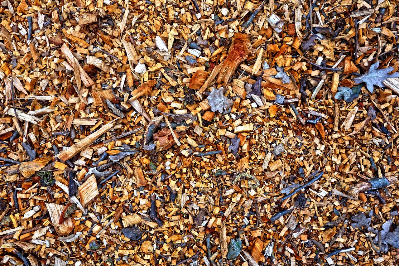 wood chips wood chips free photo