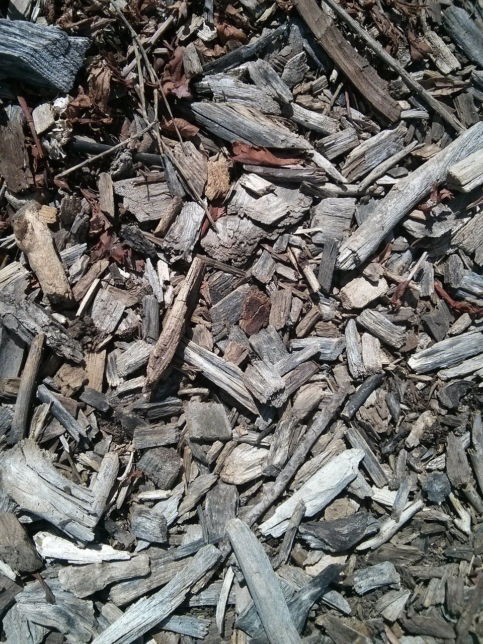 wood chips wood bark free photo